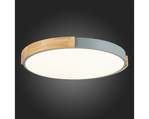 Купить Накладной светильник Evoluce SLE201372-01| VIVID-LIGHT.RU