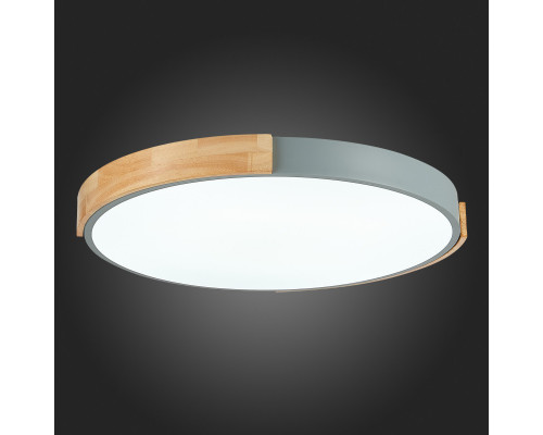 Купить Накладной светильник Evoluce SLE201372-01| VIVID-LIGHT.RU