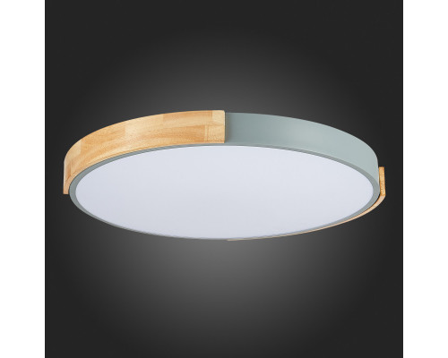 Купить Накладной светильник Evoluce SLE201372-01| VIVID-LIGHT.RU