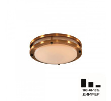 Накладной светильник Citilux CL709203N