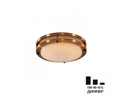 Сделать заказ Накладной светильник Citilux CL709203N| VIVID-LIGHT.RU