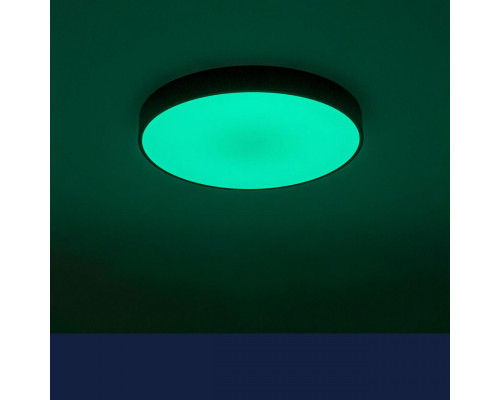 Оформить заказ Накладной светильник Citilux CL72470G1| VIVID-LIGHT.RU