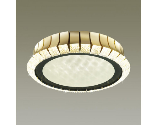 Купить Накладной светильник Odeon Light 4994/75L| VIVID-LIGHT.RU