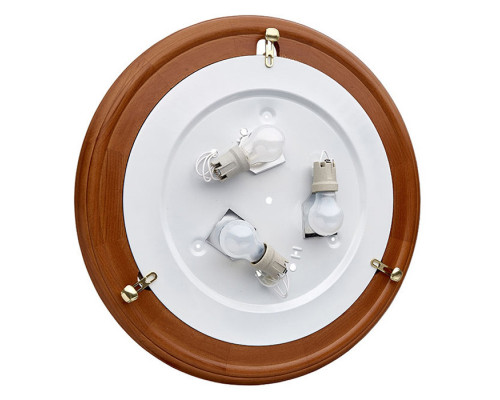 Оформить заказ Накладной светильник Sonex 359| VIVID-LIGHT.RU