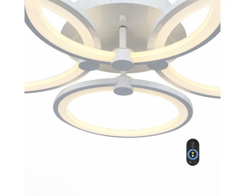 Оформить заказ Накладной светильник ST-Luce SL867.502.04| VIVID-LIGHT.RU