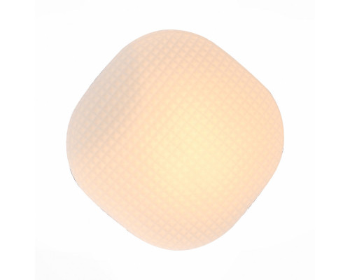 Оформить заказ Накладной светильник ST-Luce SL504.552.01| VIVID-LIGHT.RU