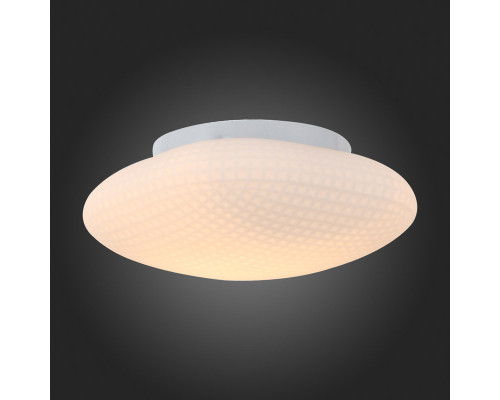 Оформить заказ Накладной светильник ST-Luce SL504.552.01| VIVID-LIGHT.RU