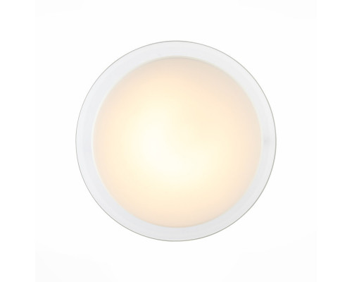 Сделать заказ Накладной светильник ST-Luce SL466.512.01| VIVID-LIGHT.RU