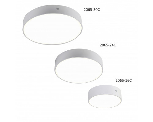 Купить Накладной светильник Favourite 2065-16C| VIVID-LIGHT.RU