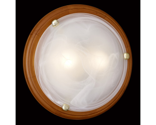 Оформить заказ Накладной светильник Sonex 359| VIVID-LIGHT.RU