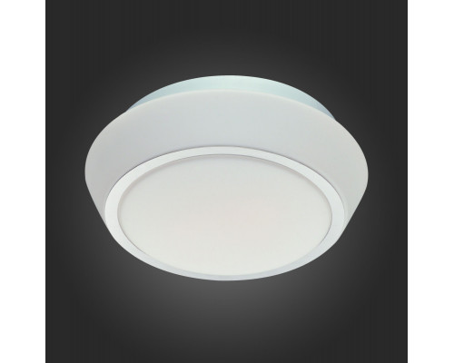 Заказать Накладной светильник ST-Luce SL496.502.02| VIVID-LIGHT.RU