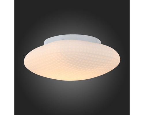 Оформить заказ Накладной светильник ST-Luce SL504.552.01| VIVID-LIGHT.RU