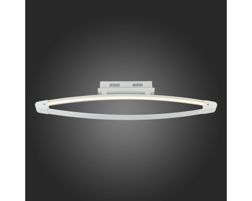 Заказать Накладной светильник ST-Luce SL920.102.01| VIVID-LIGHT.RU