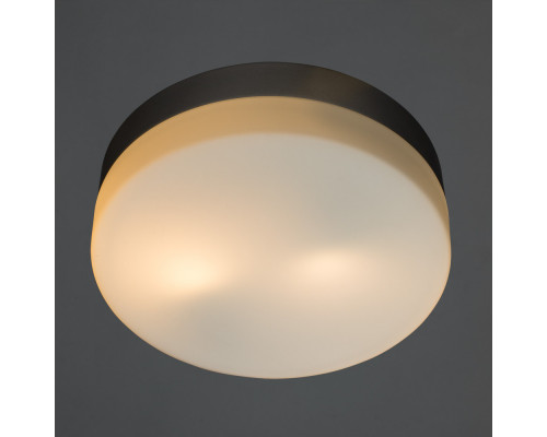 Оформить заказ Накладной светильник ARTE Lamp A3211PL-2SI| VIVID-LIGHT.RU