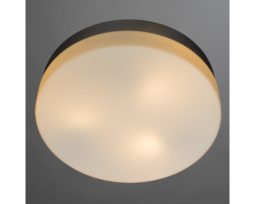 Сделать заказ Накладной светильник ARTE Lamp A3211PL-3SI| VIVID-LIGHT.RU