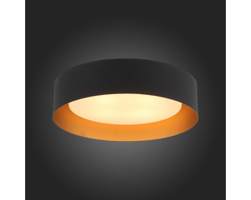 Заказать Накладной светильник ST-Luce SL392.422.04| VIVID-LIGHT.RU