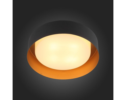 Заказать Накладной светильник ST-Luce SL392.422.04| VIVID-LIGHT.RU