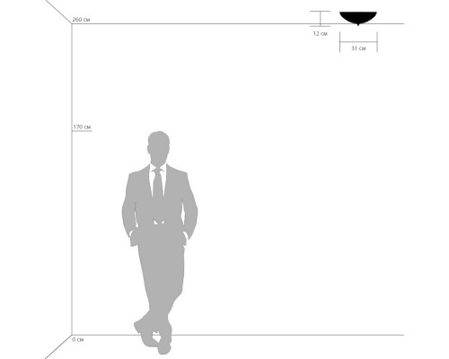 Заказать Накладной светильник Lightstar 820234| VIVID-LIGHT.RU