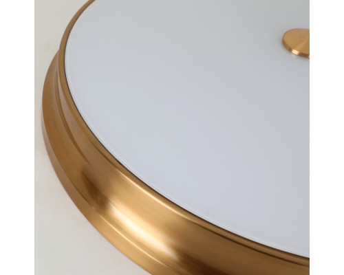 Сделать заказ Накладной светильник Favourite 2375-5C| VIVID-LIGHT.RU