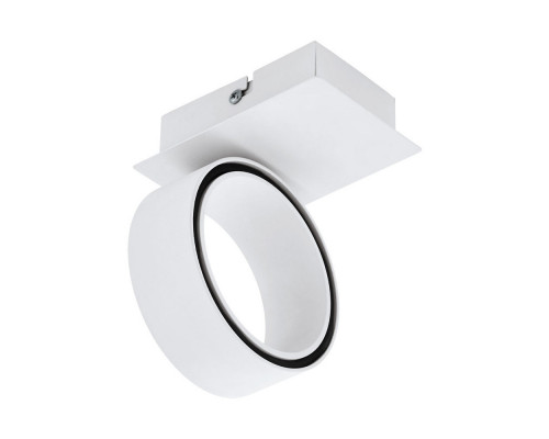 Сделать заказ Накладной светильник EGLO 39584| VIVID-LIGHT.RU