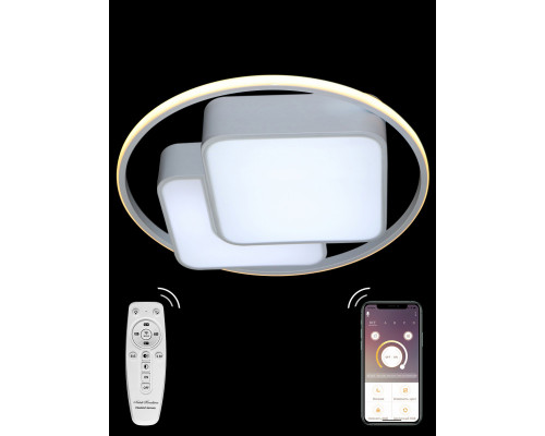 Оформить заказ Накладной светильник Natali Kovaltseva HIGH-TECH LED LAMPS 82002| VIVID-LIGHT.RU