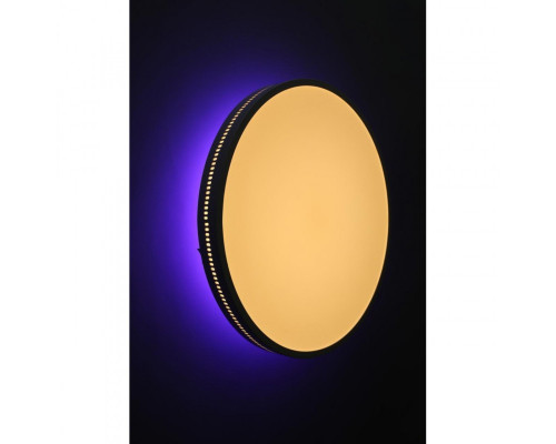 Сделать заказ Накладной светильник Omnilux OML-47327-48| VIVID-LIGHT.RU