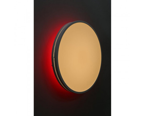 Сделать заказ Накладной светильник Omnilux OML-47327-48| VIVID-LIGHT.RU