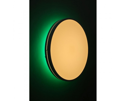 Сделать заказ Накладной светильник Omnilux OML-47327-48| VIVID-LIGHT.RU