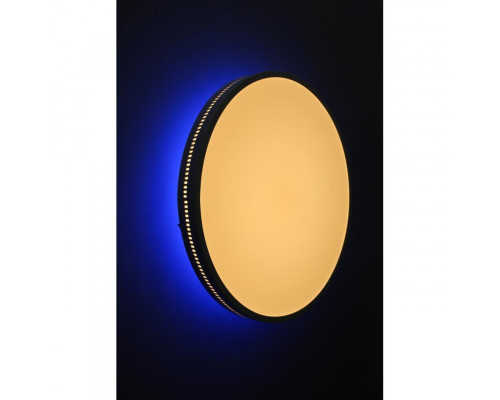 Сделать заказ Накладной светильник Omnilux OML-47327-48| VIVID-LIGHT.RU