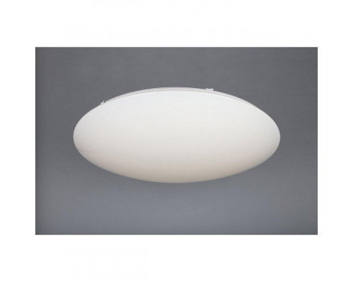 Сделать заказ Накладной светильник Omnilux OML-43007-80| VIVID-LIGHT.RU