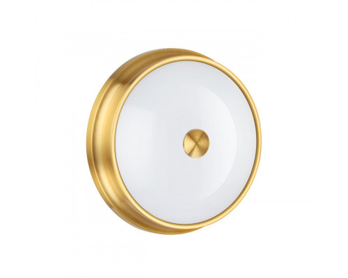 Оформить заказ Накладной светильник Odeon Light 4824/3C| VIVID-LIGHT.RU