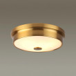 Накладной светильник Odeon Light 4824/3C