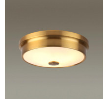 Накладной светильник Odeon Light 4824/3C