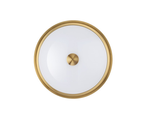 Оформить заказ Накладной светильник Odeon Light 4824/3C| VIVID-LIGHT.RU