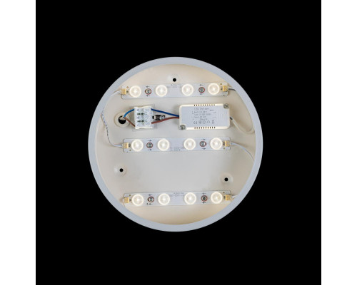 Оформить заказ Накладной светильник LOFT IT 10002/12 White| VIVID-LIGHT.RU