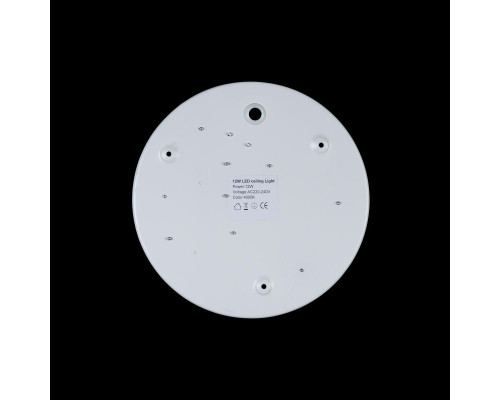 Оформить заказ Накладной светильник LOFT IT 10002/12 White| VIVID-LIGHT.RU