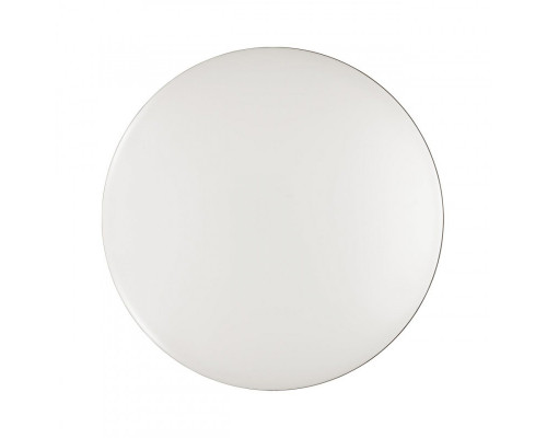 Заказать Накладной светильник Sonex 3042/CL| VIVID-LIGHT.RU