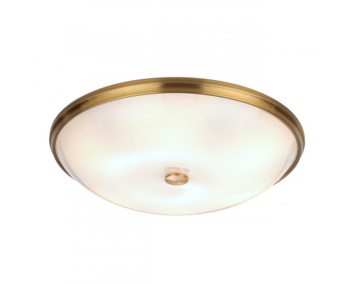 Купить Накладной светильник Odeon Light 4956/6| VIVID-LIGHT.RU