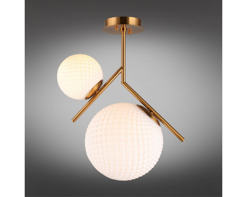 Купить Накладной светильник APLOYT APL.300.07.02| VIVID-LIGHT.RU