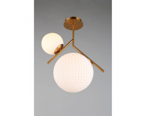 Купить Накладной светильник APLOYT APL.300.07.02| VIVID-LIGHT.RU