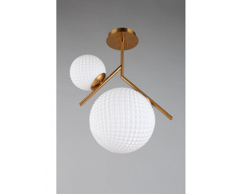 Купить Накладной светильник APLOYT APL.300.07.02| VIVID-LIGHT.RU