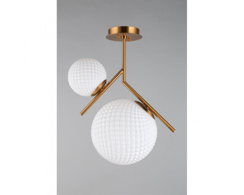 Купить Накладной светильник APLOYT APL.300.07.02| VIVID-LIGHT.RU