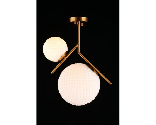 Купить Накладной светильник APLOYT APL.300.07.02| VIVID-LIGHT.RU