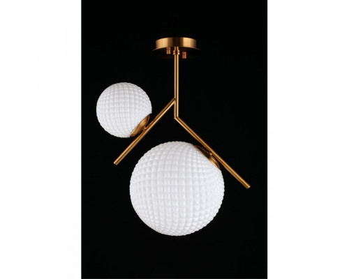 Купить Накладной светильник APLOYT APL.300.07.02| VIVID-LIGHT.RU