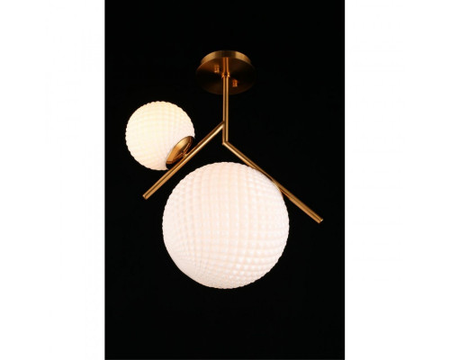 Купить Накладной светильник APLOYT APL.300.07.02| VIVID-LIGHT.RU