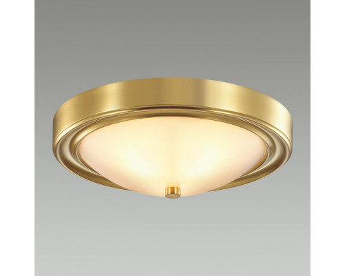 Сделать заказ Накладной светильник LUMION 5259/2C| VIVID-LIGHT.RU