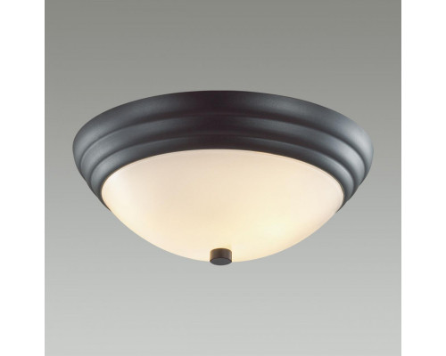 Сделать заказ Накладной светильник LUMION 5263/2C| VIVID-LIGHT.RU