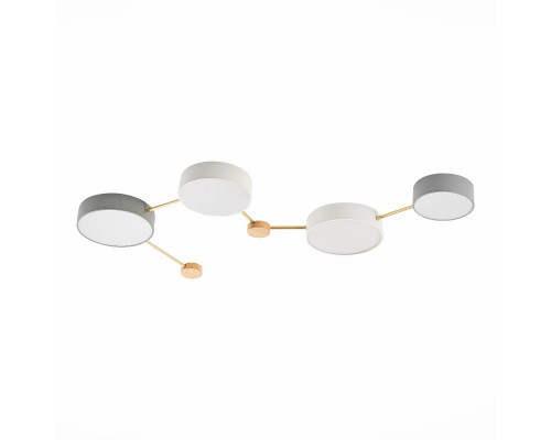 Оформить заказ Накладной светильник Evoluce SLE600102-04| VIVID-LIGHT.RU