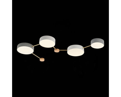 Оформить заказ Накладной светильник Evoluce SLE600102-04| VIVID-LIGHT.RU