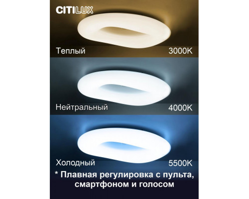 Оформить заказ Накладной светильник Citilux CL732A800G| VIVID-LIGHT.RU